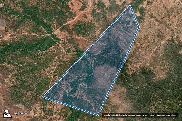 Imagem de satélite de FAZENDA MAURÍCIO E CAIÇARAS - 001 em Monsenhor Gil - PI