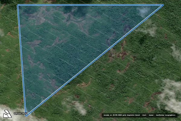Imagem de satélite de FAZENDA ANANINDEUA - Parcela 1 em Caracaraí - RR