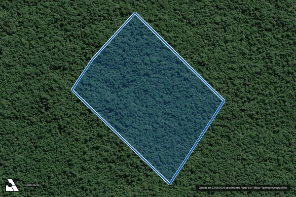 Imagem de satélite de Fazenda Jussara IV - Lote 29 - Mat. 40.517 em Iguape - SP