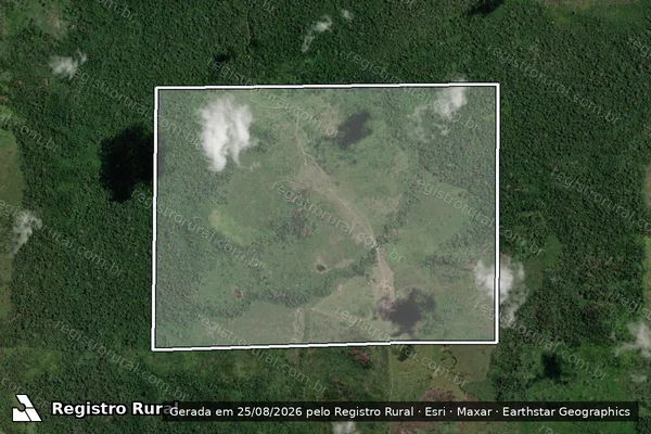 Imagem de satélite de LOTE 10 SETOR E  - LOTE 10 SETOR E PARTE 2 em São Félix do Xingu - PA
