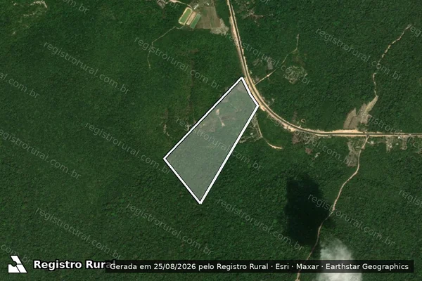 Imagem de satélite de Iporá - Lote 98 - em Rio Preto da Eva - AM