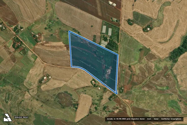 Imagem de satélite de Lote 196 ? Projeto de Assentamento Eli Vive I - LOTE 196 em Londrina - PR