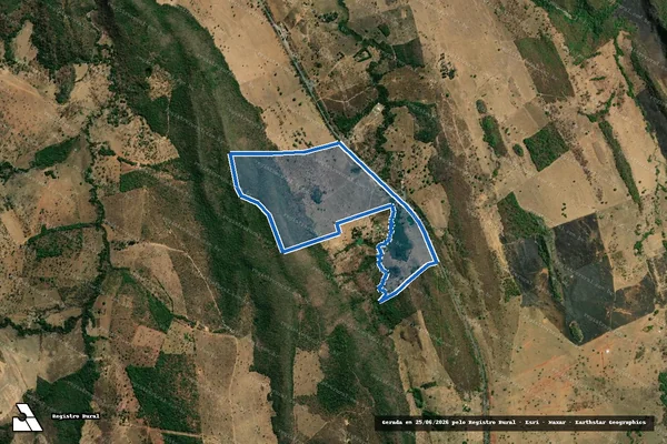 Imagem de satélite de FAZENDA BISNAU - 001 em Formosa - GO