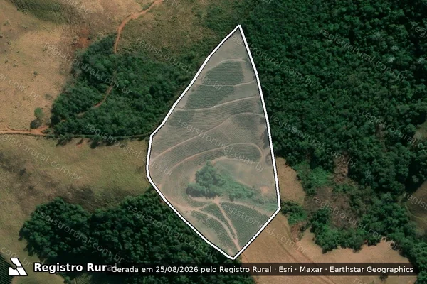 Imagem de satélite de Sítio Furriel - Parcela 01 em Jequeri - MG