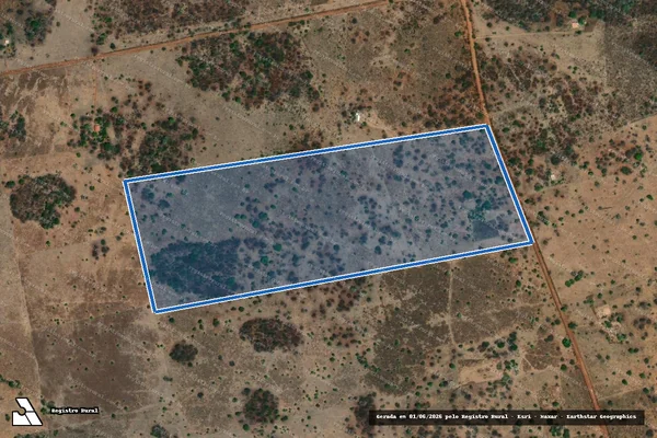 Imagem de satélite de LOTE 67  - PA SANTA FÉ - LOTE 67 PA SANTA FÉ em Flores de Goiás - GO