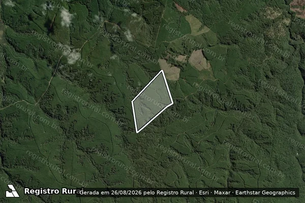 Imagem de satélite de Fazenda Bom Sucesso III - Única em Rio Negrinho - SC