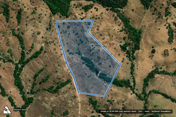 Imagem de satélite de FAZENDA COQUEIRO  - Parcela 02 em Goiás - GO