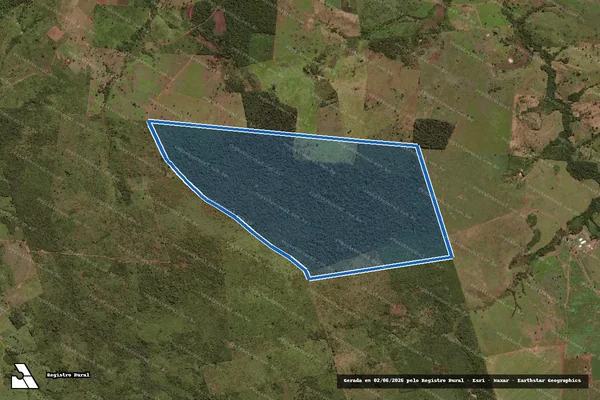 Imagem de satélite de FAZENDA NOVA REPÚBLICA - Parte 2 em Conceição do Araguaia - PA