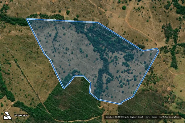Imagem de satélite de PROJETO DE ASSENTAMENTO FRANCISCO ROQUE DA CRUZ - LOTE 11 em Fazenda Nova - GO