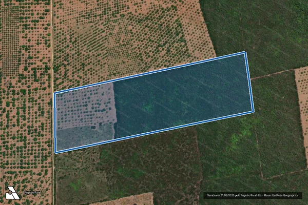 Imagem de satélite de PROJETO DE ASSENTAMENTO VASSOURAS - LOTE 03 - Parte 1 em Carnaubais - RN