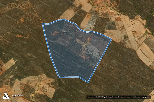 Imagem de satélite de SÍTIO PAUS BRANCO ? FAZENDA CABOCLO - Parte 1 em Afrânio - PE
