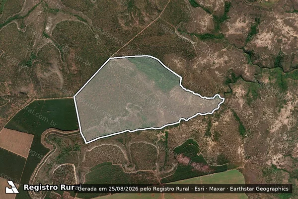 Imagem de satélite de Fazenda São Sebastião do Guará - Parte 1 em Três Marias - MG