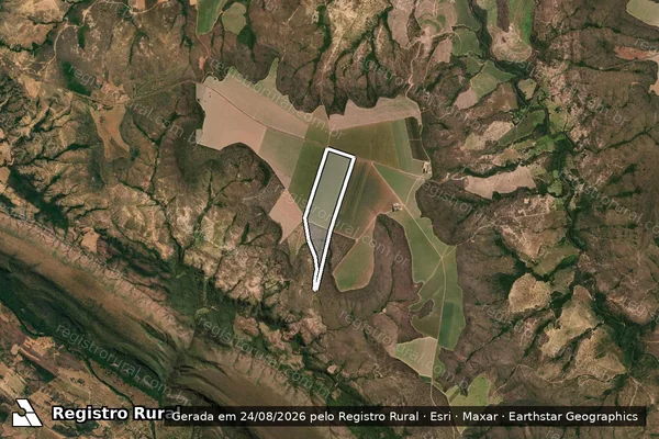 Imagem de satélite de FAZENDA PONTE GRANDE - GLEBA 09 e FAZENDA XANXERÊ - GLEBA 08 - Gleba 01 em Formoso - MG