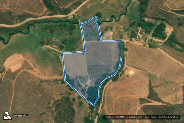 Imagem de satélite de Fazenda Vista Alegre - GLEBA03 em Ervália - MG
