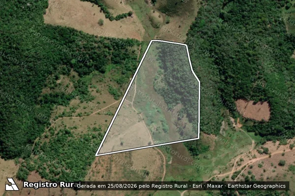 Imagem de satélite de FAZENDA MONTE VERDE - GLEBA 1 em Novo Oriente de Minas - MG