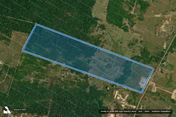 Imagem de satélite de PAD ANAUA-REMANESCENTE_Lote 124_TD-377 em Rorainópolis - RR