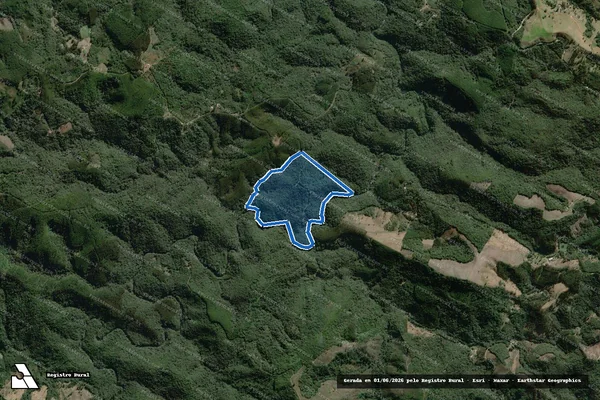 Imagem de satélite de SITIO RANCHO ALEGRE - Posse AREA 1 em Campo Largo - PR