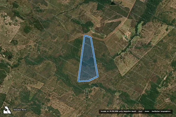 Imagem de satélite de Fazenda Capão Redondo - Área B em Nossa Senhora do Livramento - MT