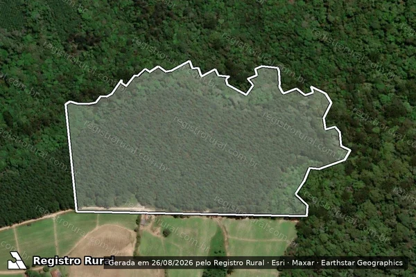 Imagem de satélite de Fazenda Lençol V - Única em Rio Negro - PR