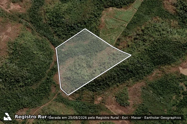 Imagem de satélite de Lote 02 - Projeto de Assentamento Santa Clara - LOTE 02 em União - PI