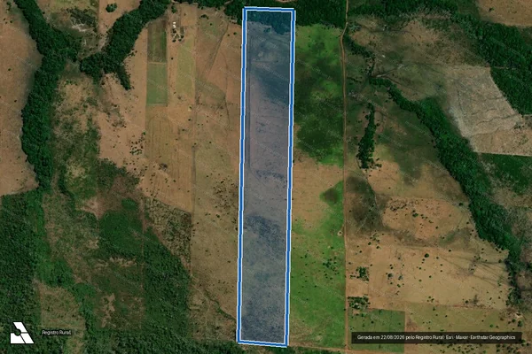Imagem de satélite de PROJETO DE ASSENTAMENTO ARAÚNA I – Lote 29 / Parte 1