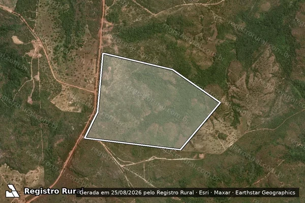 Imagem de satélite de FAZENDA ELINE- LOTE 328 GL BARRIGUDA LOTº PIACÁ - FAZENDA ELINE- LOTE 328 GL BARRIGUDA LOTº PIACÁ em Goiatins - TO