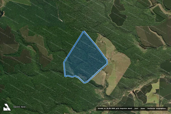 Imagem de satélite de FAZENDA BOA SORTE - 001 em Santa Cruz Cabrália - BA