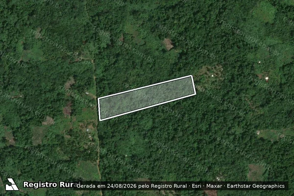 Imagem de satélite de PARCELAS GLEBA UAUPÉS - LOTE 337 em São Gabriel da Cachoeira - AM