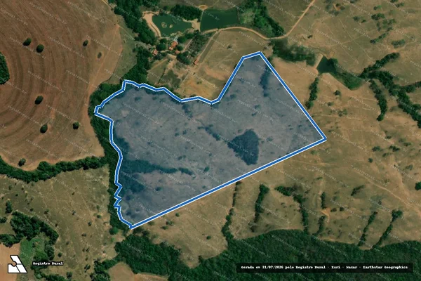 Imagem de satélite de FAZENDA GALLES em Palmelo - GO