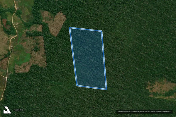 Imagem de satélite de Gleba Campinarana - Lote 236 / Lote 235