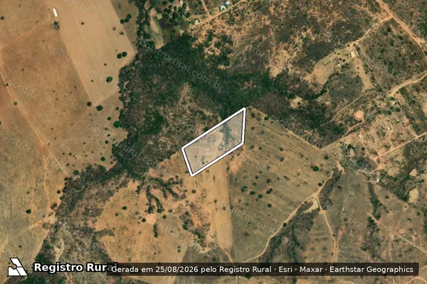 Imagem de satélite de FAZENDA BOI FORTE - GLEBA 02 - Gleba 01 em Buritis - MG