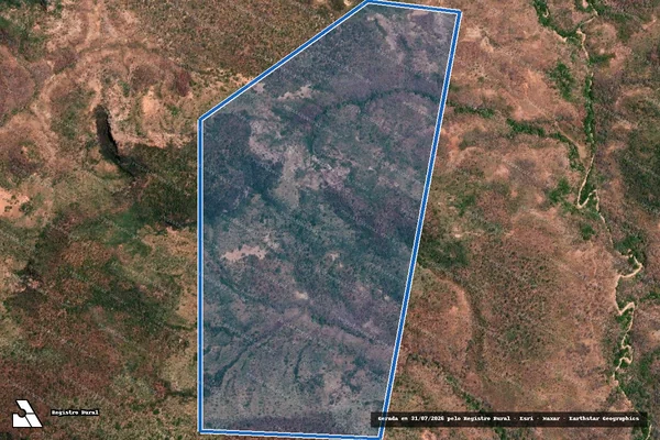 Imagem de satélite de FAZENDA PUÇÁ - Parte 1 em Eliseu Martins - PI