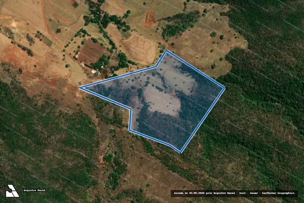 Imagem de satélite de FAZENDA LAVRINHA DE SÃO SEBASTIÃO - GLEBA 11 e RL 11A em Goianésia - GO
