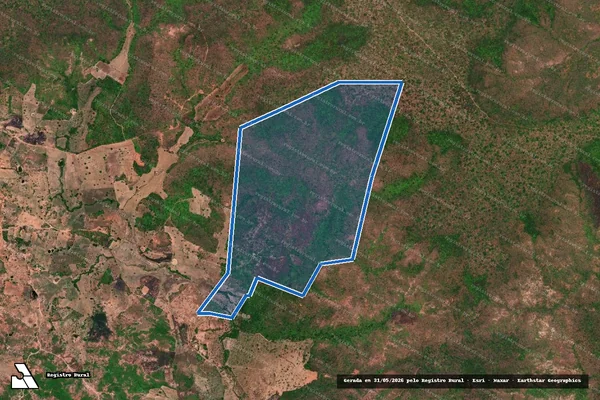 Imagem de satélite de FAZENDA BURITIZEIRO em Benedito Leite - MA