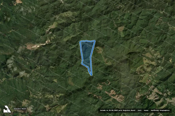 Imagem de satélite de FAZENDA PASSA VINTE - MAT. 4.360 - Matrícula 4.360 em Bocaiúva do Sul - PR