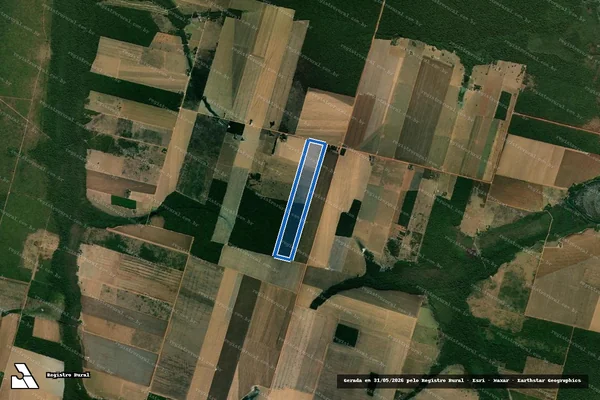 Imagem de satélite de LOTE 31 ? P.A BRASIL NOVO - Parte 1 em Querência - MT
