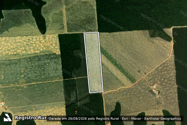 Imagem de satélite de Fazenda Independência - 005 em Paragominas - PA