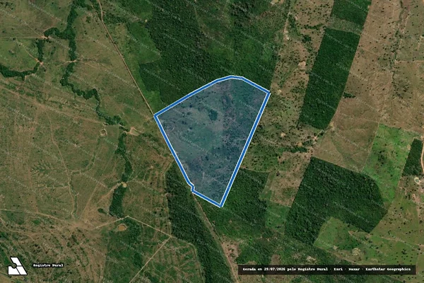 Imagem de satélite de PA ANGICAL_LOTE 13 - LOTE 13 em Palestina do Pará - PA