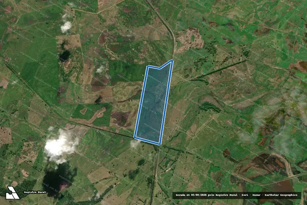 Imagem de satélite de FAZENDA MAGIONI - Gleba 01 em Linhares - ES