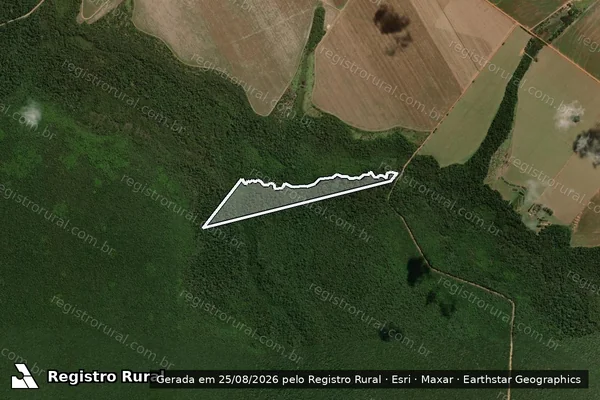 Imagem de satélite de Fazenda Mutum / Parte Remanescente da Matrícula 23726 - Desdobro 01 da Matrícula 21611 em Nova Mutum - MT