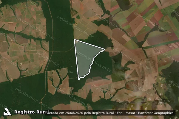 Imagem de satélite de FAZENDA NOVA BURITI em Nova Mutum - MT