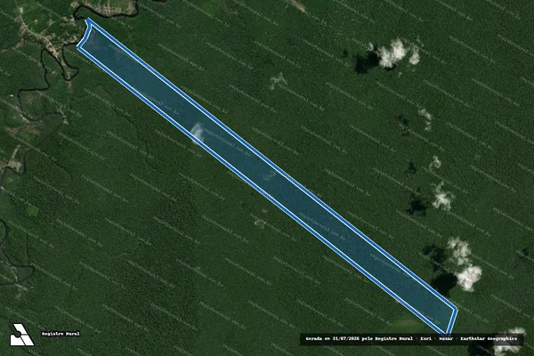 Imagem de satélite de FAZENDA BEIRA MAR - Parte 1 em Manicoré - AM