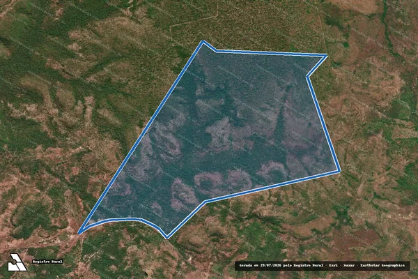 Imagem de satélite de FAZENDA NOVA LAGES - Parte 1 em Palmeirais - PI