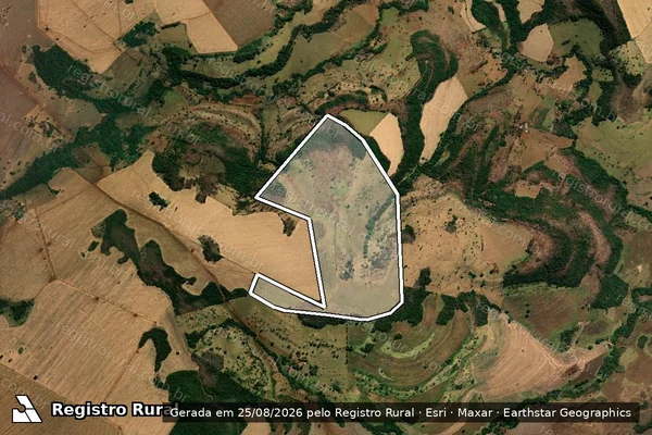 Imagem de satélite de FAZENDA SANTA MARIA DA PONTE LAVRADA - 001 em Goiatuba - GO