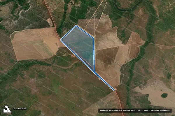 Imagem de satélite de FAZENDA PALESTINA em Carolina - MA