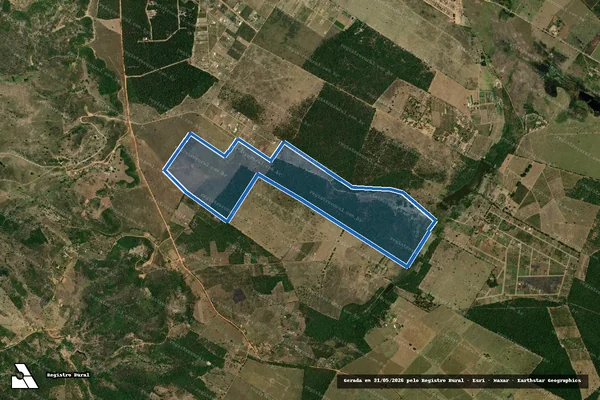 Imagem de satélite de FAZENDA PALMEIRA - GLEBA - 01 em Barra do Choça - BA