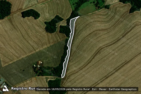 Imagem de satélite de LOTE DE TERRAS N° 02 - "RETIRO SÃO MOYSES" - LOTE DE TERRAS N° 02-A em Campina da Lagoa - PR