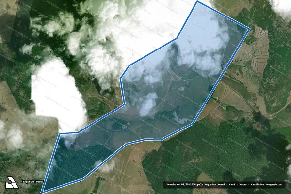 Imagem de satélite de Fazenda São Raimundo - Parcela 1 em Iracema - RR