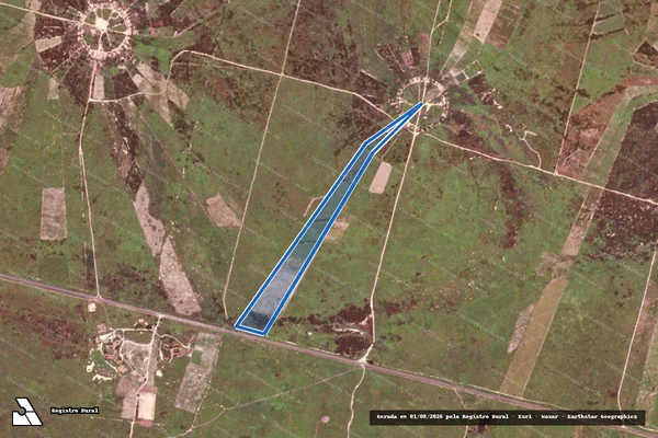 Imagem de satélite de FAZENDA VALE DO GURGUÉIA / CAJUNORTE - Célula F ? Lote 04 em Canto do Buriti - PI