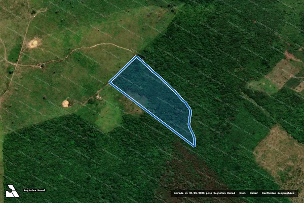 Imagem de satélite de P.A RIO BONITO / FAZENDA BOM JESUS 2 / LOTE 33 - PARCELA 01 em Bom Jesus das Selvas - MA
